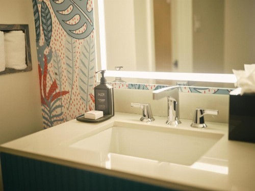 Americania Hotel - image 15