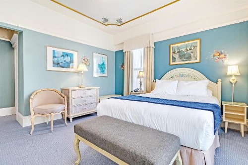Cornell Hotel de France - image 3
