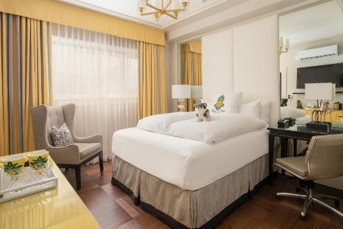 Staypineapple An Elegant Hotel Union Square - image 30
