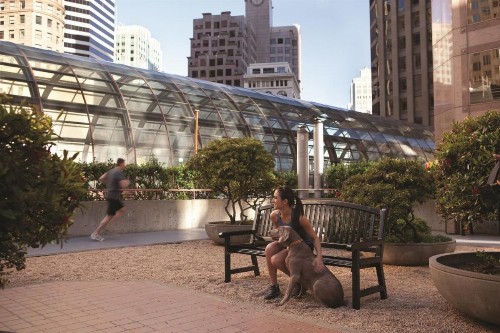 Galleria Park Hotel - image 10