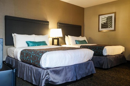 City Center Inn and Suites - image 15