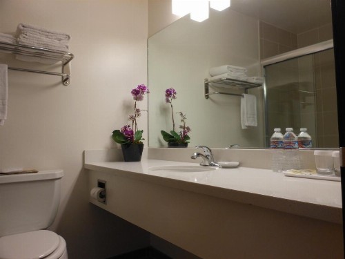Grant Plaza Hotel - image 12
