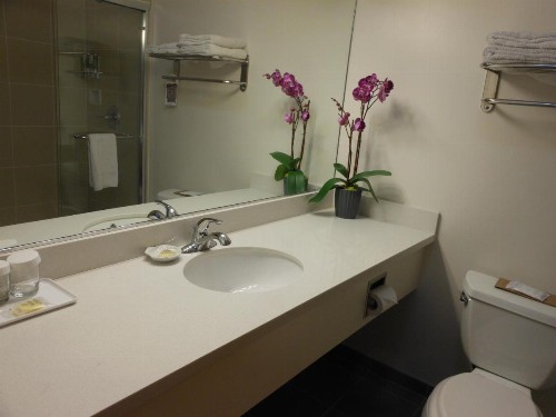 Grant Plaza Hotel - image 38