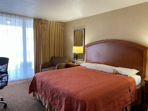 Royal Pacific Motor Inn - image 10