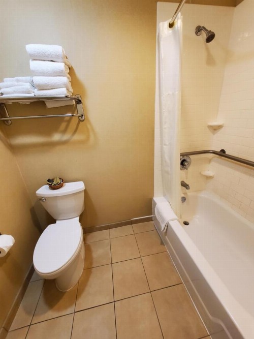 Royal Pacific Motor Inn - image 30