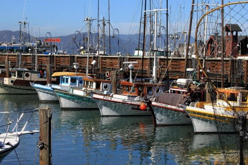 Courtyard by Marriott Fishermans Wharf - image 3