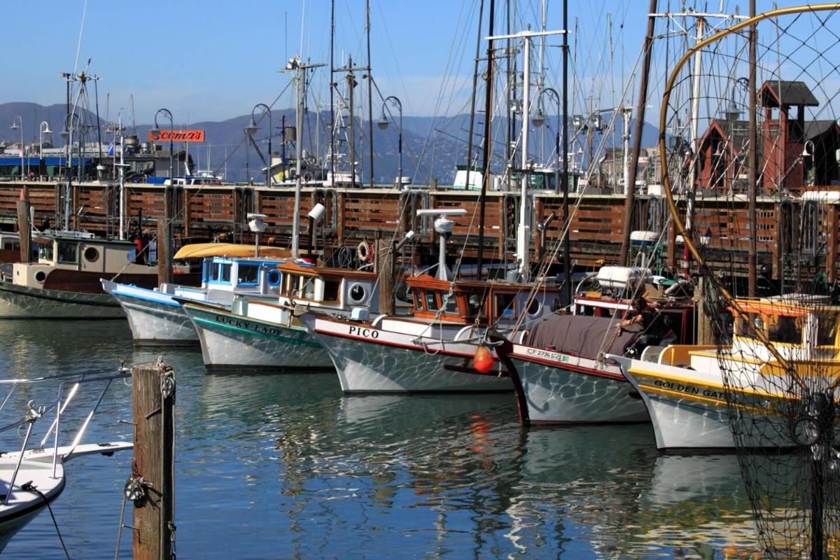 Courtyard by Marriott Fishermans Wharf - image 3