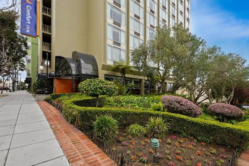 Comfort Inn By the Bay Hotel San Francisco - image 3