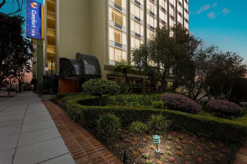 Comfort Inn By the Bay Hotel San Francisco - image 7