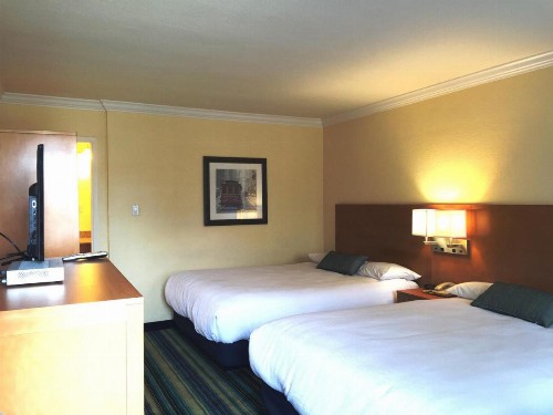 Surf Motel - image 10
