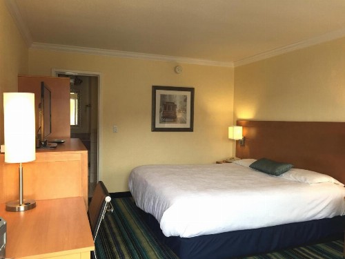 Surf Motel - image 13