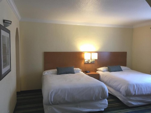 Surf Motel - image 14