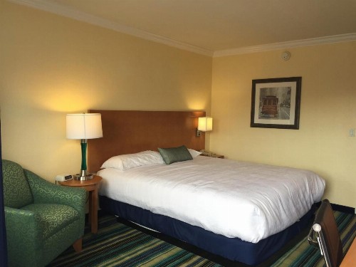 Surf Motel - image 18