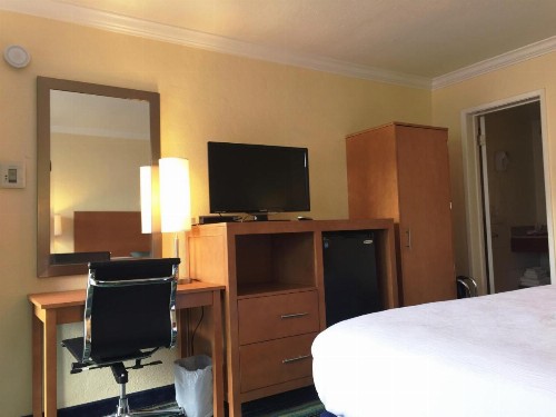 Surf Motel - image 3