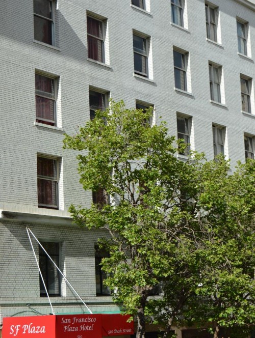 SF Plaza Hotel - image 4