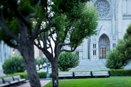 Stanford Court San Francisco - image 3