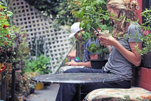 Adelaide Hostel - image 48