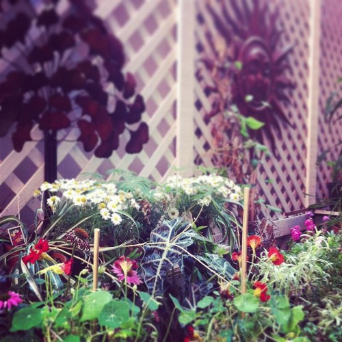 Adelaide Hostel - image 49