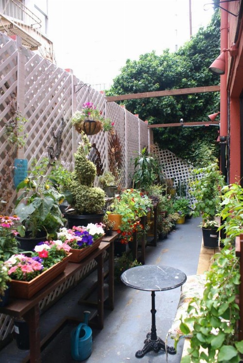Adelaide Hostel - image 8