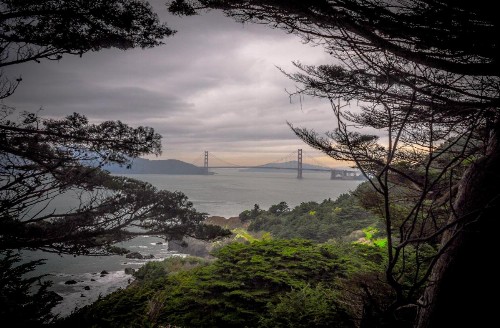 Cable Car Hotel - image 38