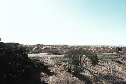 Rodeway Inn & Suites Ocean Beach - image 12
