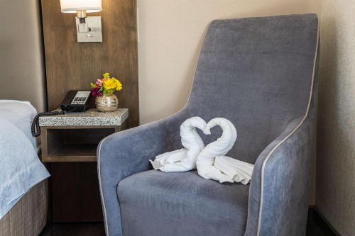 Hampton Inn San Francisco Downtown/Convention Center - image 3