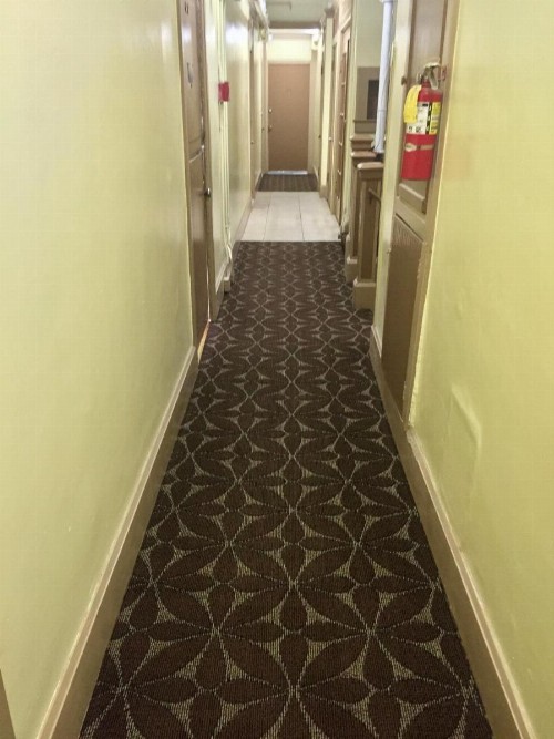 Admiral Hotel - image 12