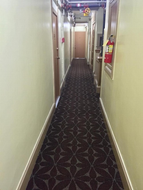 Admiral Hotel - image 16