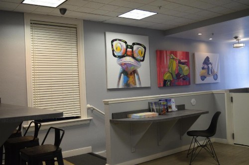 The Urban - image 14