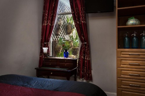 Noe's Nest Bed and Breakfast - image 5