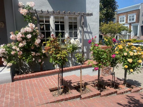 My Rosegarden Guest Rooms - image 18