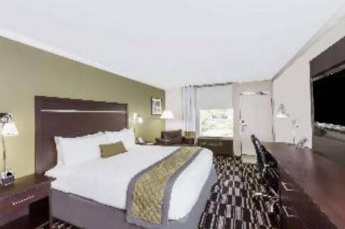 Wyndham Garden San Jose Airport - image 13