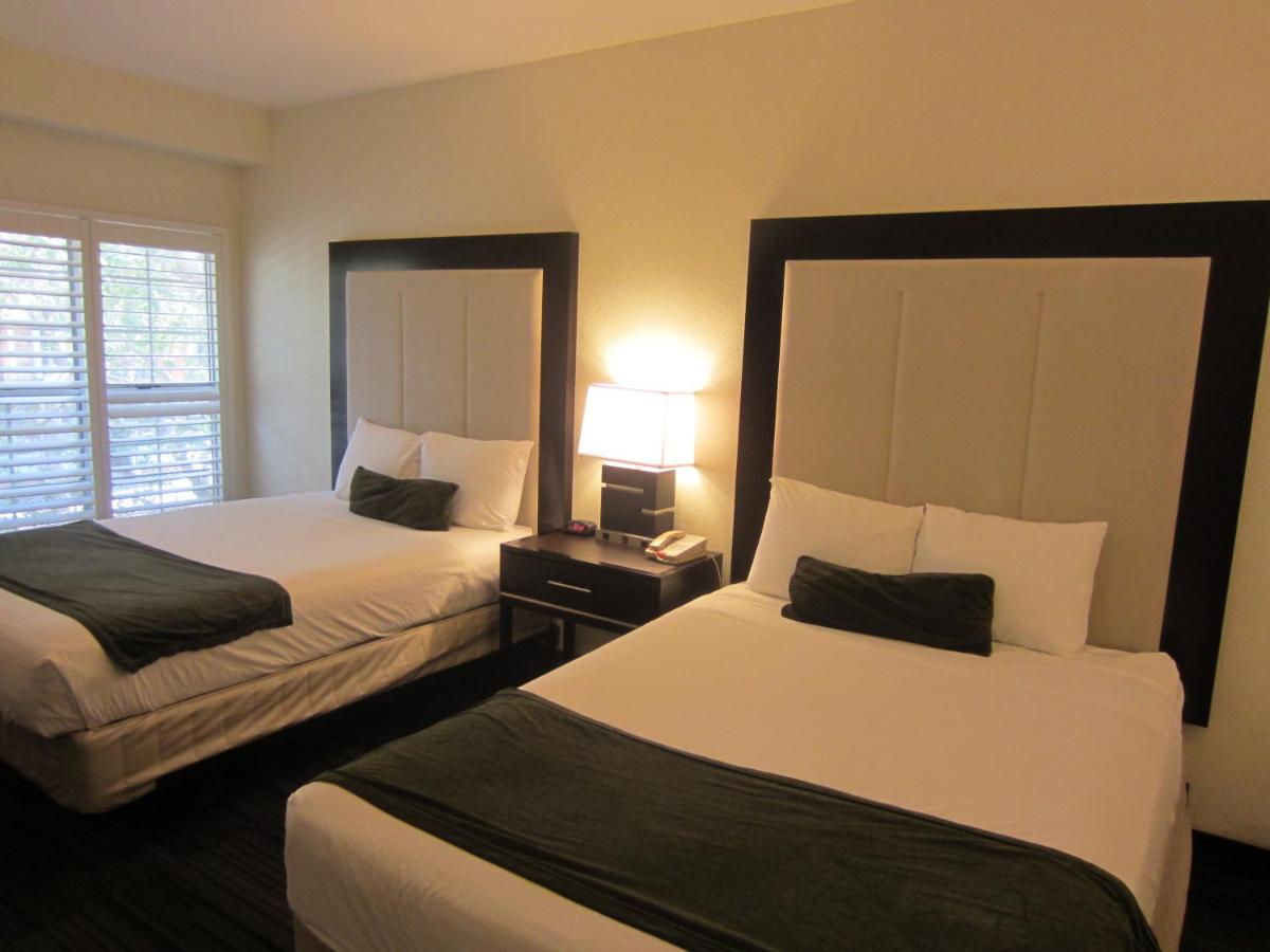 Arena Hotel - image 3