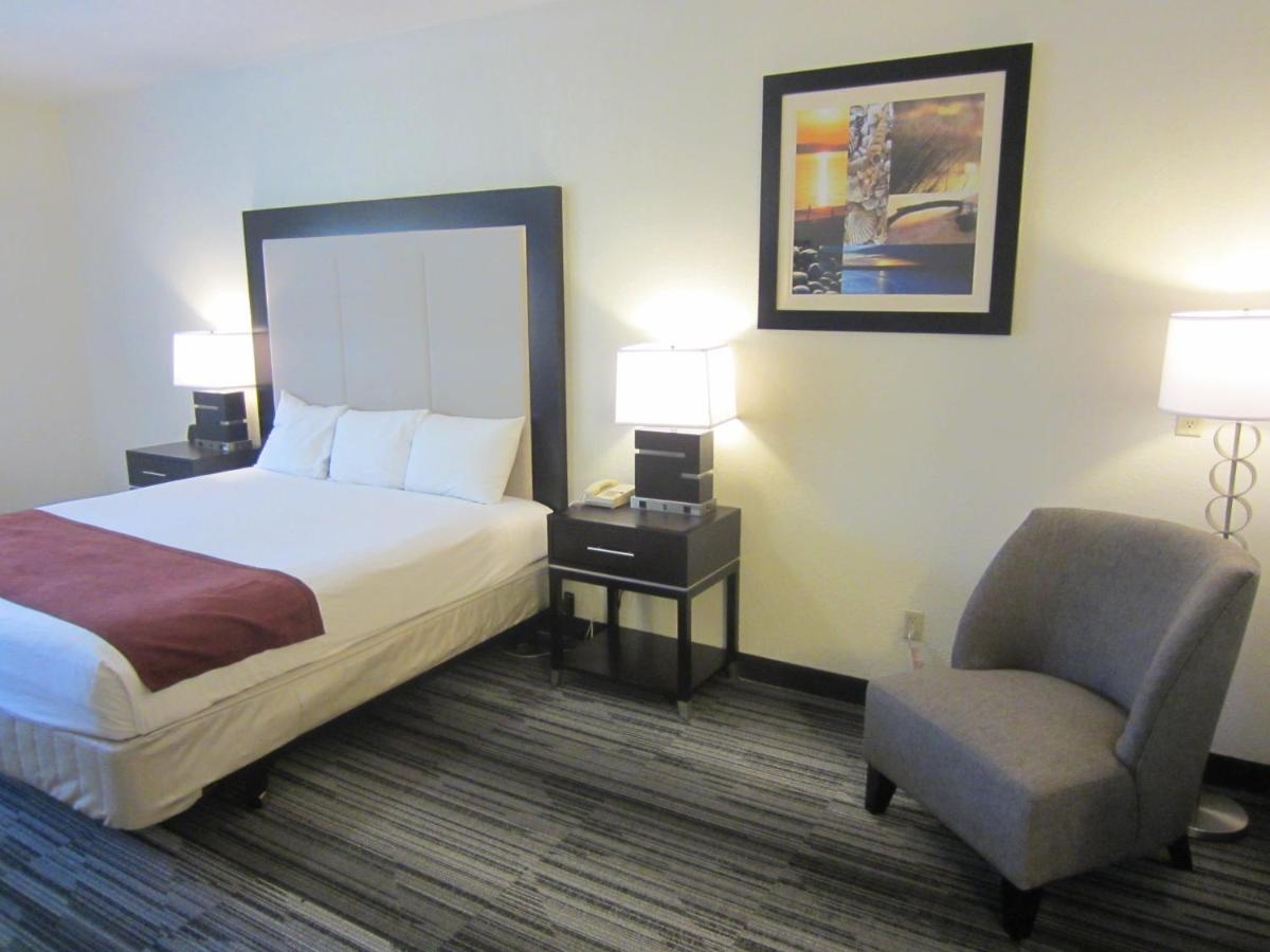 Arena Hotel - image 7
