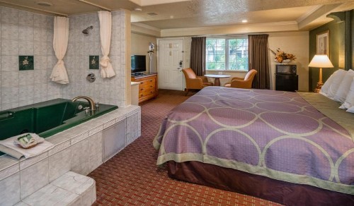 Hotel Rose Garden - image 10