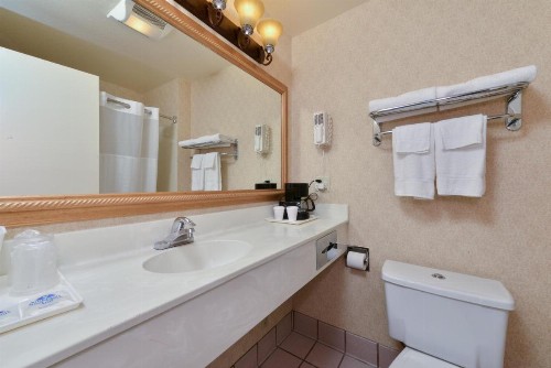 Americas Best Value Inn San Jose - image 4