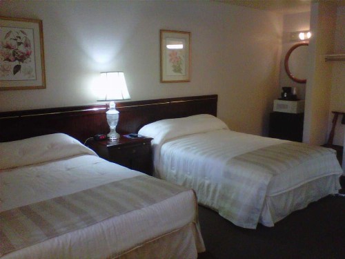 Caravelle Inn & Suites - image 8