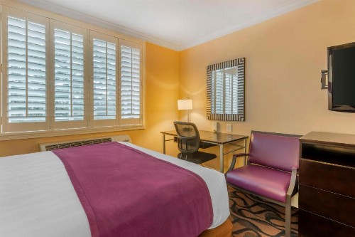 Best Western Plus Airport Plaza - image 20