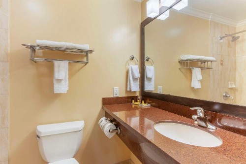 Best Western Plus Airport Plaza - image 22