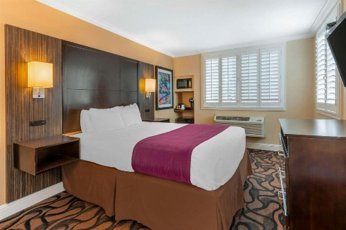 Best Western Plus Airport Plaza - image 23