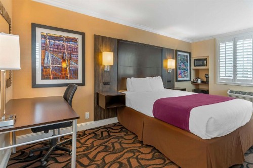 Best Western Plus Airport Plaza - image 24