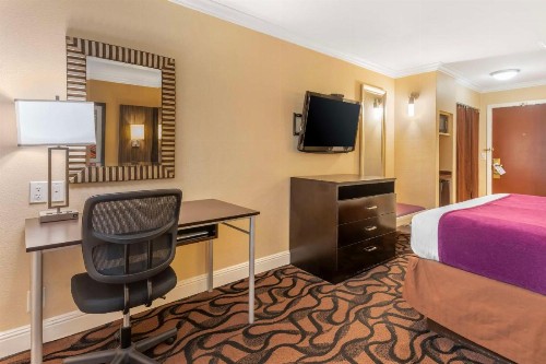 Best Western Plus Airport Plaza - image 26