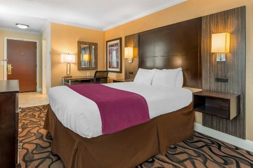 Best Western Plus Airport Plaza - image 27