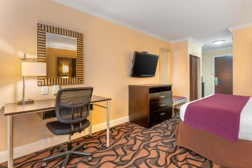 Best Western Plus Airport Plaza - image 30