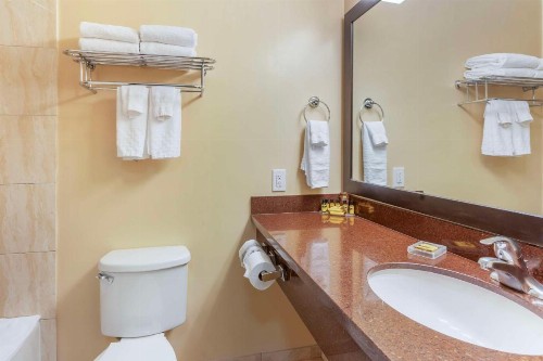 Best Western Plus Airport Plaza - image 35