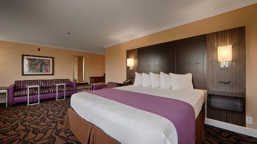 Best Western Plus Airport Plaza - image 38