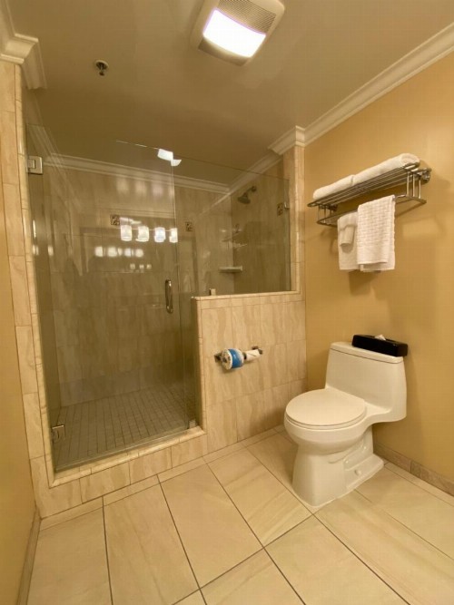 Best Western Plus Airport Plaza - image 39