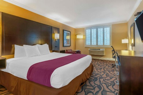 Best Western Plus Airport Plaza - image 4