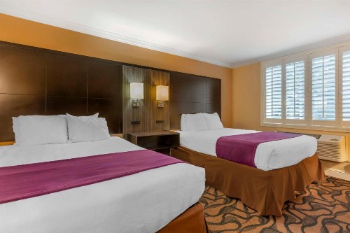 Best Western Plus Airport Plaza - image 8