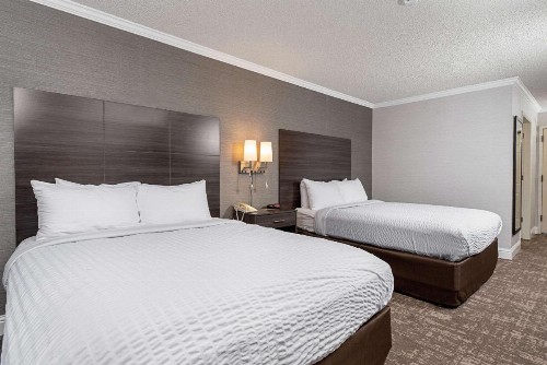 Clarion Inn Silicon Valley - image 30